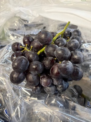 Foto Uva Nera Varietà Sable Calibro j Origine Cile Marchio  2